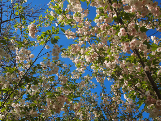 513562 (a): :2560x1920